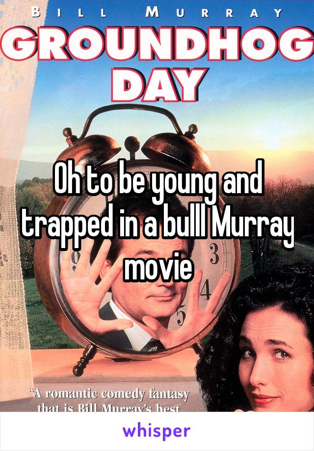 Oh to be young and trapped in a bulll Murray movie