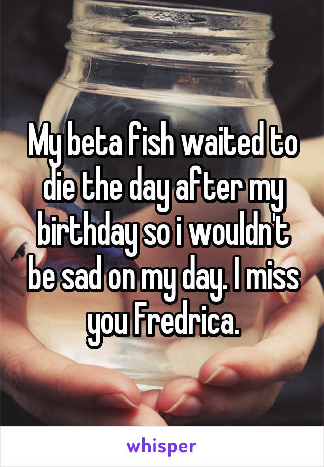 My beta fish waited to die the day after my birthday so i wouldn't be sad on my day. I miss you Fredrica.