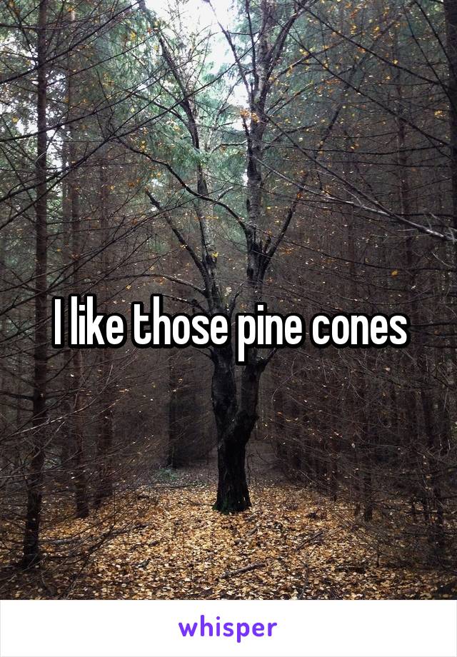 I like those pine cones