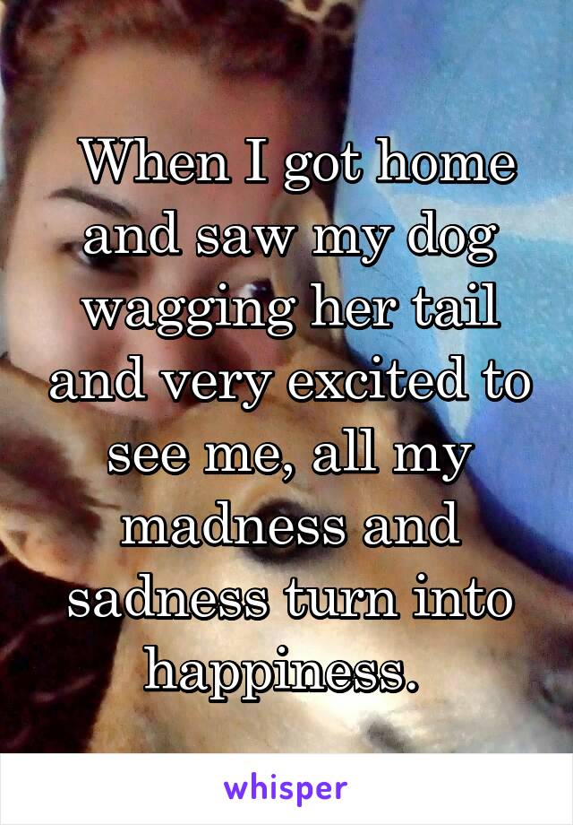  When I got home and saw my dog wagging her tail and very excited to see me, all my madness and sadness turn into happiness. 