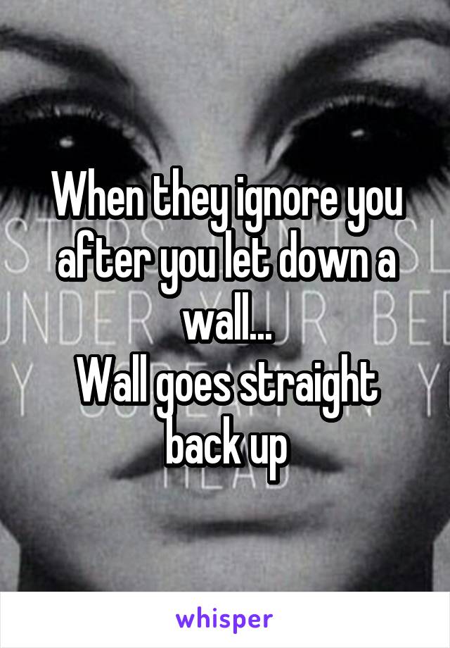 When they ignore you after you let down a wall...
Wall goes straight back up