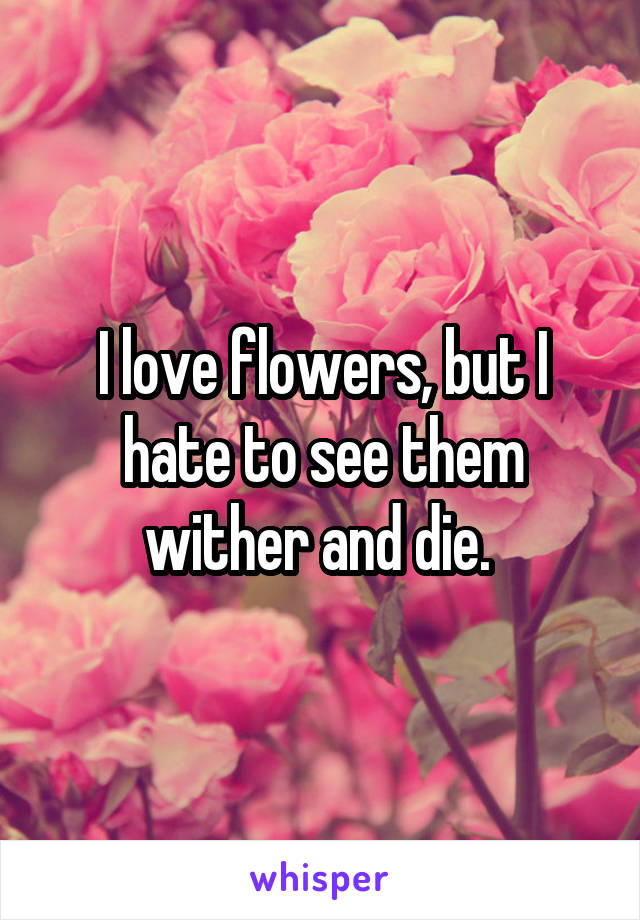 I love flowers, but I hate to see them wither and die. 