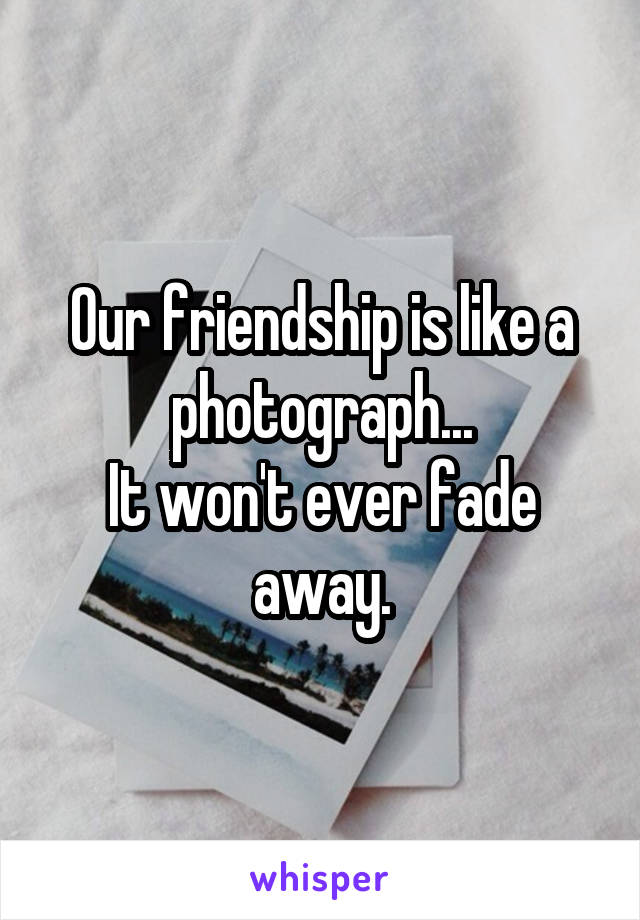 Our friendship is like a photograph...
It won't ever fade away.