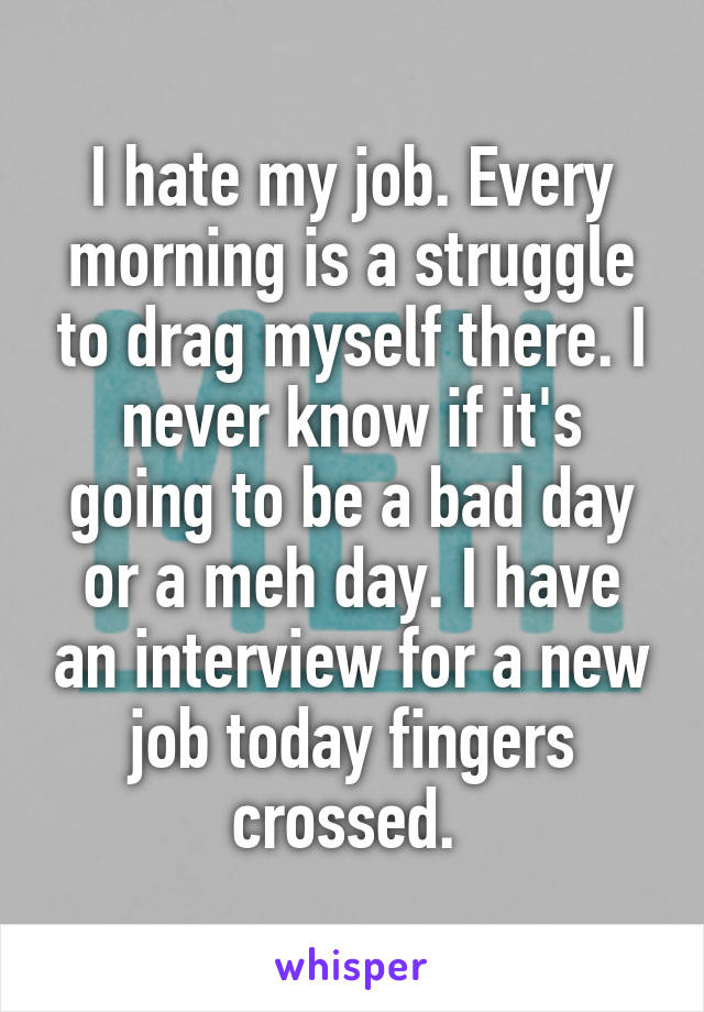 I hate my job. Every morning is a struggle to drag myself there. I never know if it's going to be a bad day or a meh day. I have an interview for a new job today fingers crossed. 