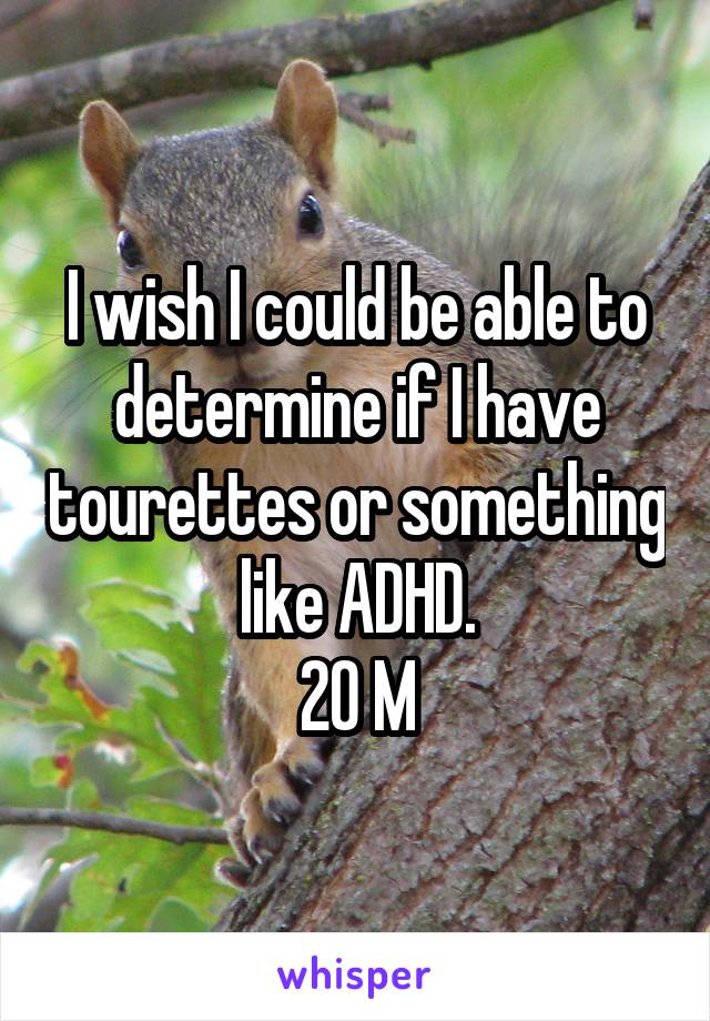 I wish I could be able to determine if I have tourettes or something like ADHD.
20 M