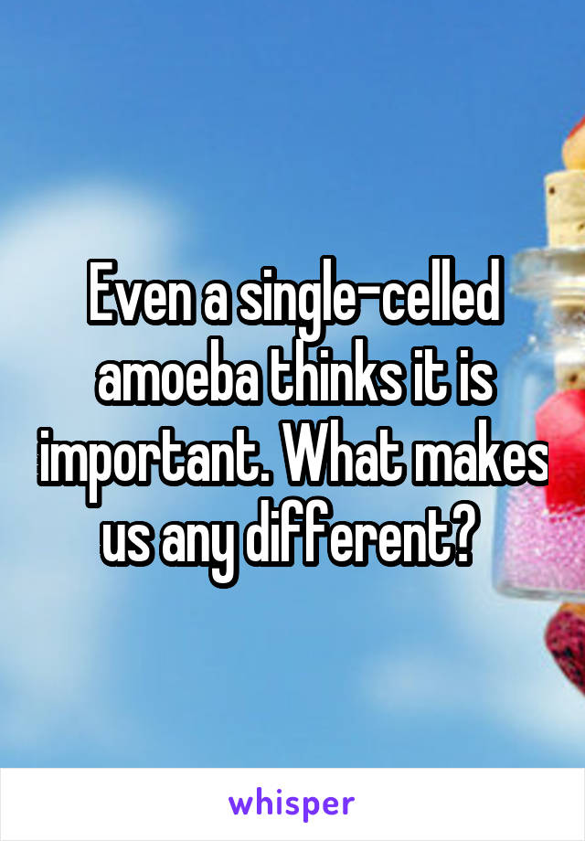 Even a single-celled amoeba thinks it is important. What makes us any different? 