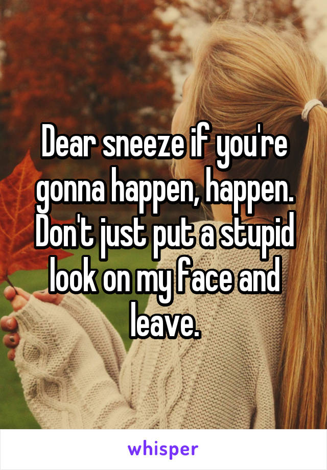 Dear sneeze if you're gonna happen, happen. Don't just put a stupid look on my face and leave.