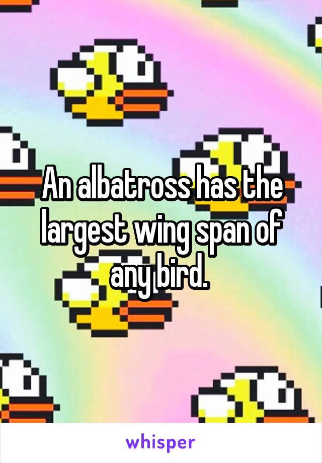 An albatross has the largest wing span of any bird. 