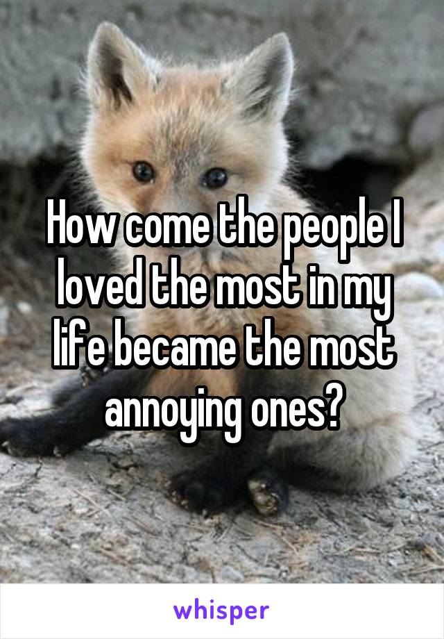 How come the people I loved the most in my life became the most annoying ones?