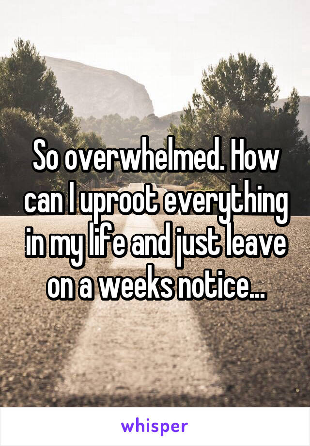 So overwhelmed. How can I uproot everything in my life and just leave on a weeks notice...