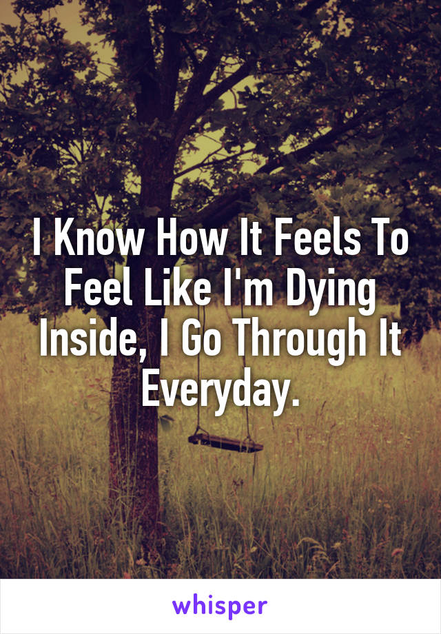 I Know How It Feels To Feel Like I'm Dying Inside, I Go Through It Everyday.