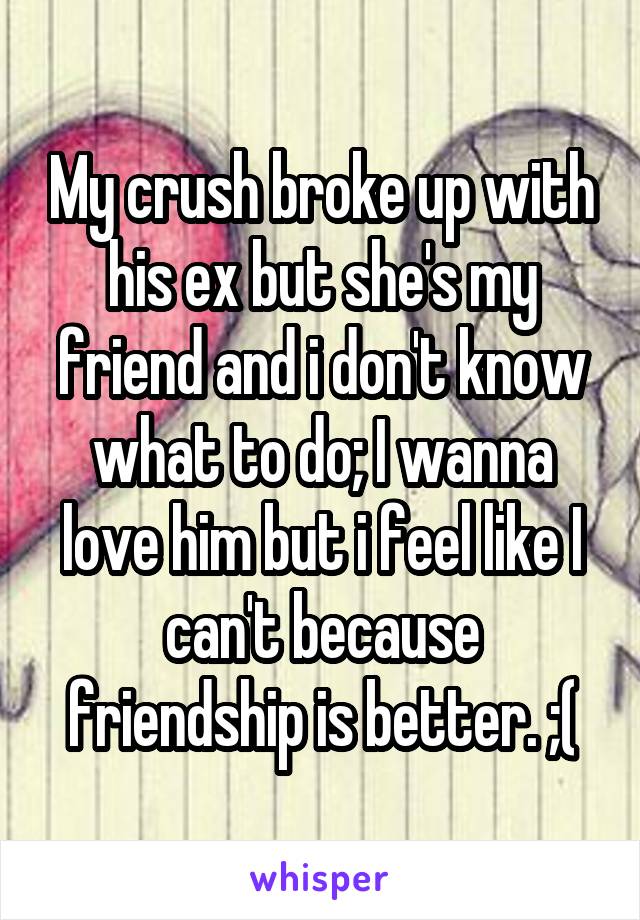 My crush broke up with his ex but she's my friend and i don't know what to do; I wanna love him but i feel like I can't because friendship is better. ;(