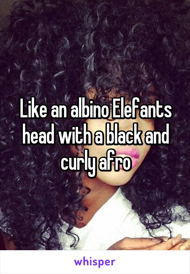 Like an albino Elefants head with a black and curly afro