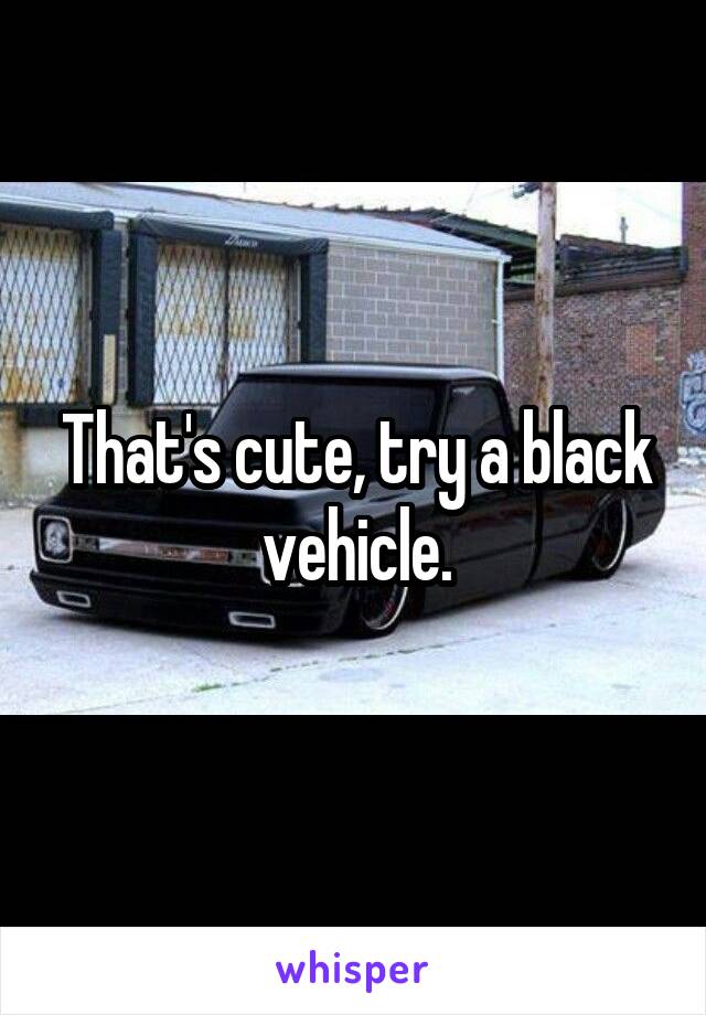 That's cute, try a black vehicle.