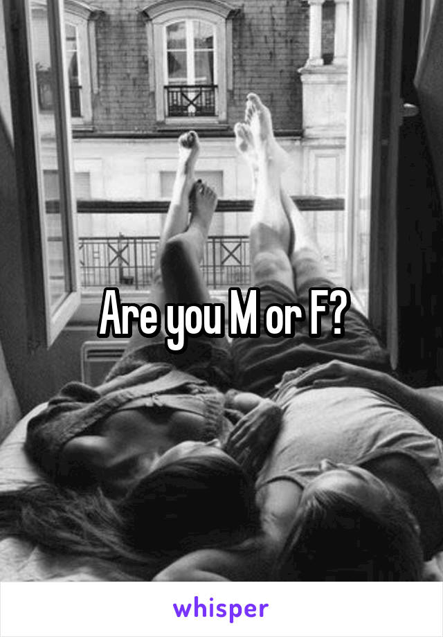 Are you M or F?