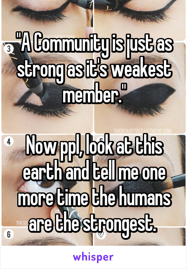 "A Community is just as strong as it's weakest member."

Now ppl, look at this earth and tell me one more time the humans are the strongest. 