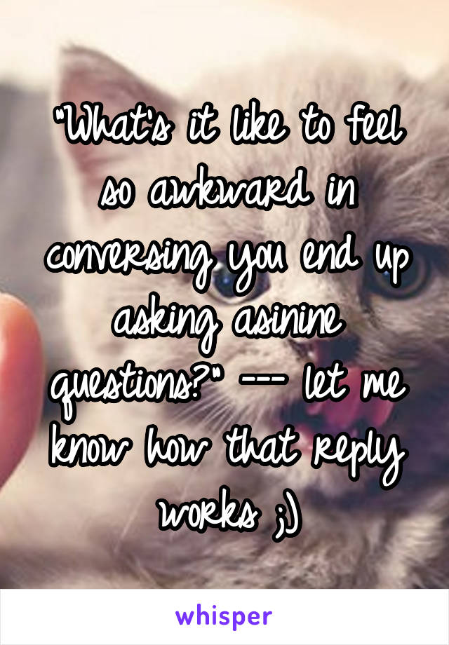 "What's it like to feel so awkward in conversing you end up asking asinine questions?" --- let me know how that reply works ;)