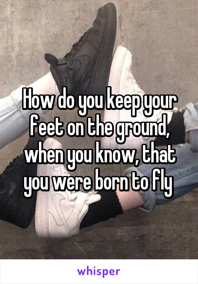 How do you keep your feet on the ground, when you know, that you were born to fly 