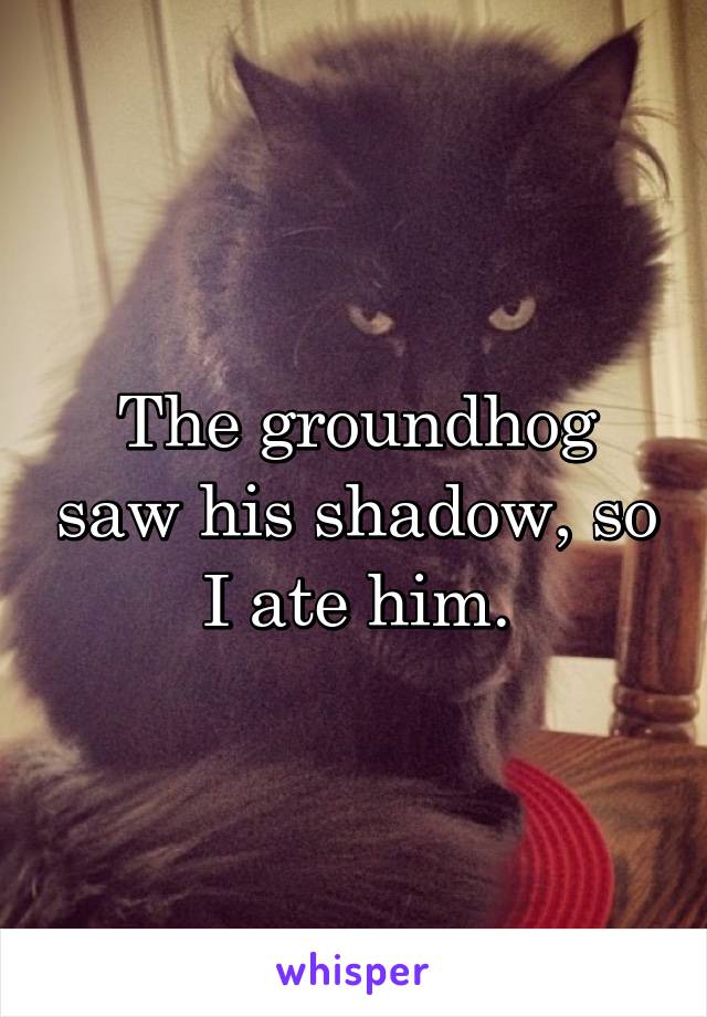 The groundhog saw his shadow, so I ate him.