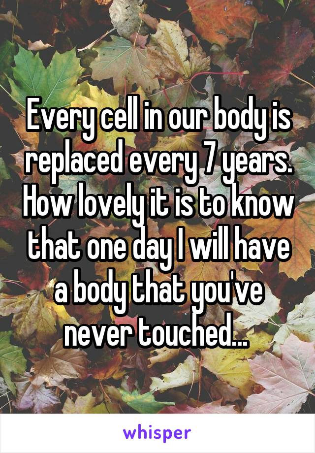 Every cell in our body is replaced every 7 years. How lovely it is to know that one day I will have a body that you've never touched... 