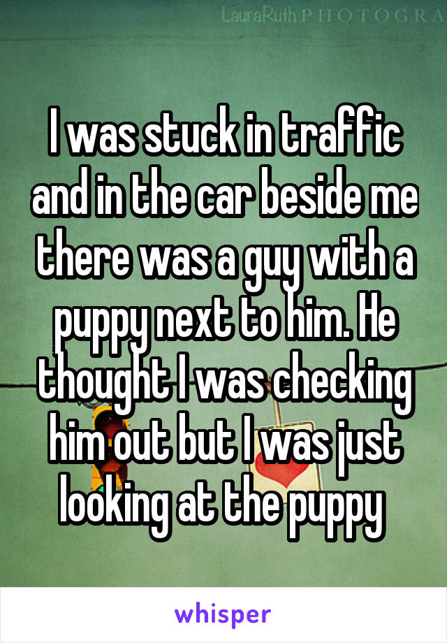 I was stuck in traffic and in the car beside me there was a guy with a puppy next to him. He thought I was checking him out but I was just looking at the puppy 