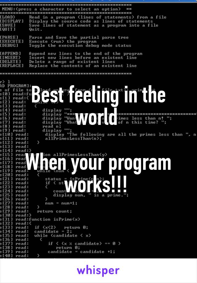 Best feeling in the world 

When your program works!!! 