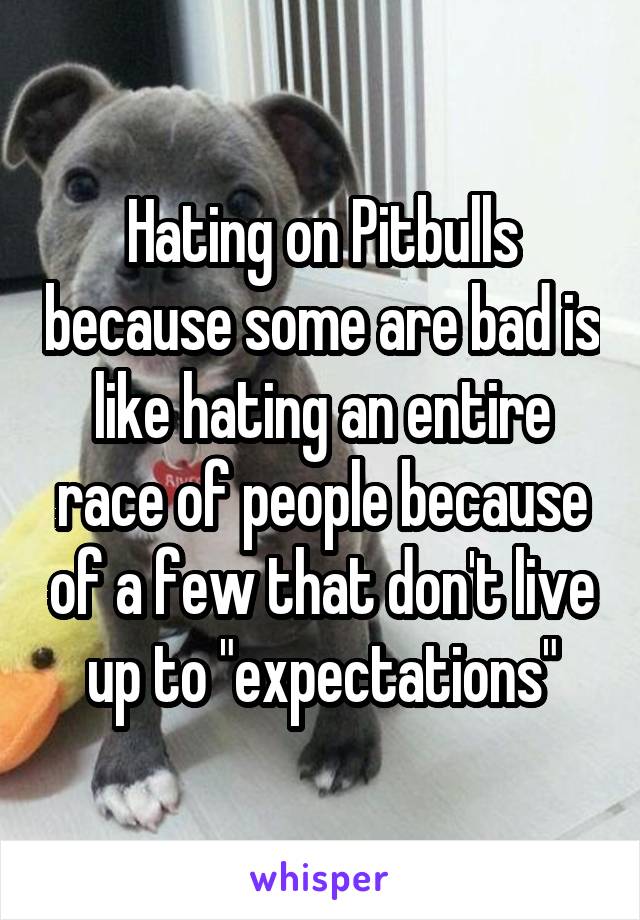 Hating on Pitbulls because some are bad is like hating an entire race of people because of a few that don't live up to "expectations"