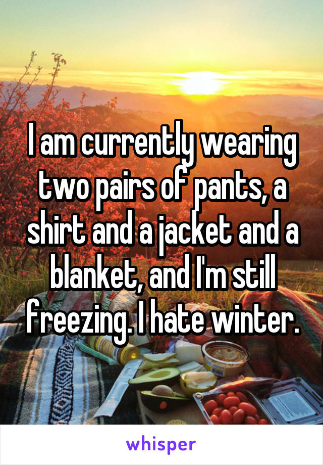 I am currently wearing two pairs of pants, a shirt and a jacket and a blanket, and I'm still freezing. I hate winter.