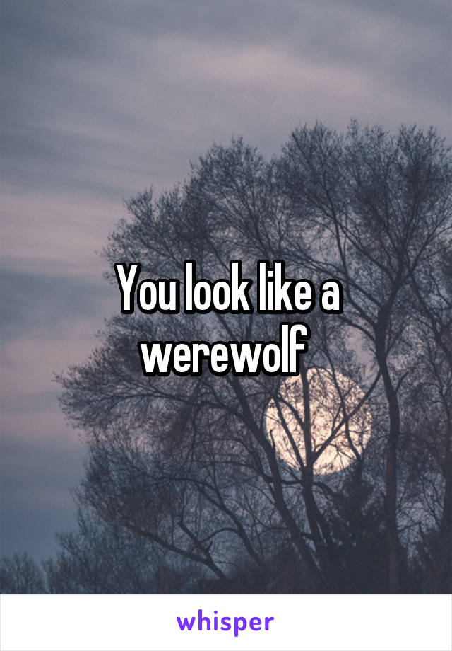 You look like a werewolf 