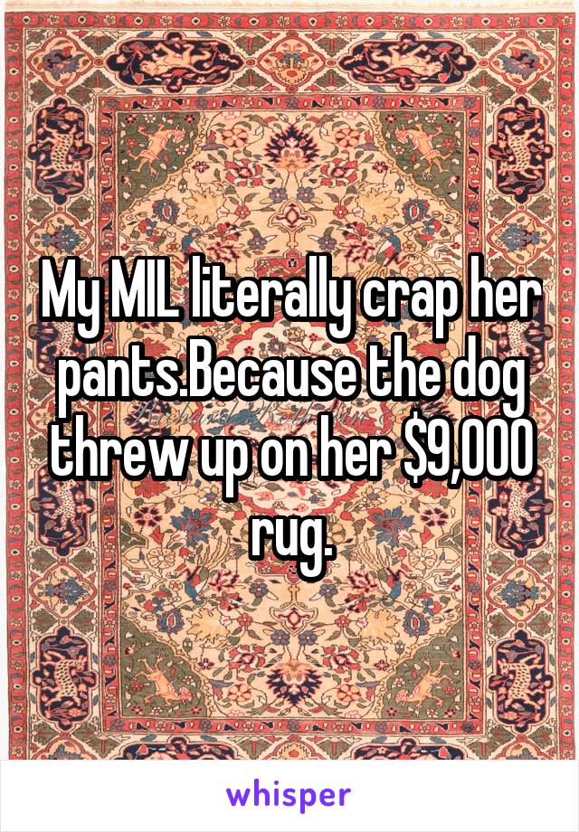 My MIL literally crap her pants.Because the dog threw up on her $9,000 rug.