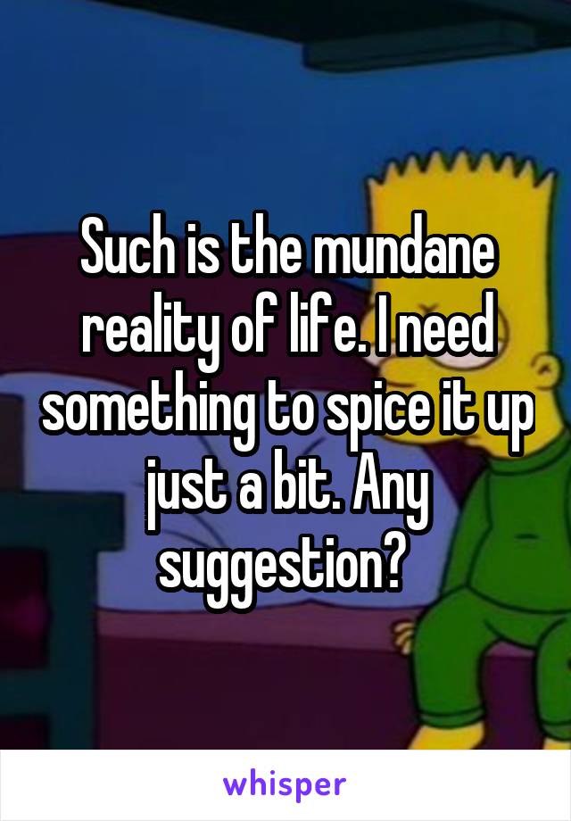 Such is the mundane reality of life. I need something to spice it up just a bit. Any suggestion? 