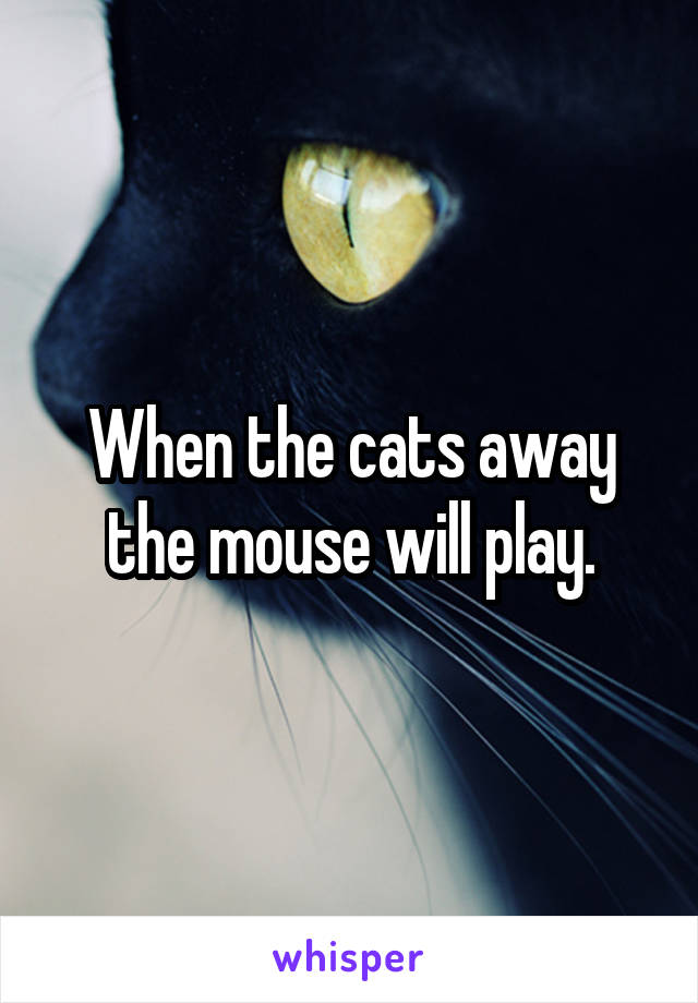 When the cats away the mouse will play.