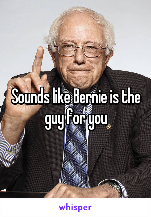 Sounds like Bernie is the guy for you