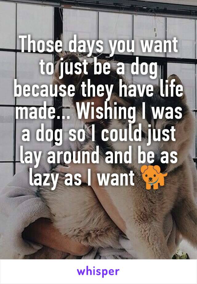 Those days you want to just be a dog because they have life made... Wishing I was a dog so I could just lay around and be as lazy as I want 🐕