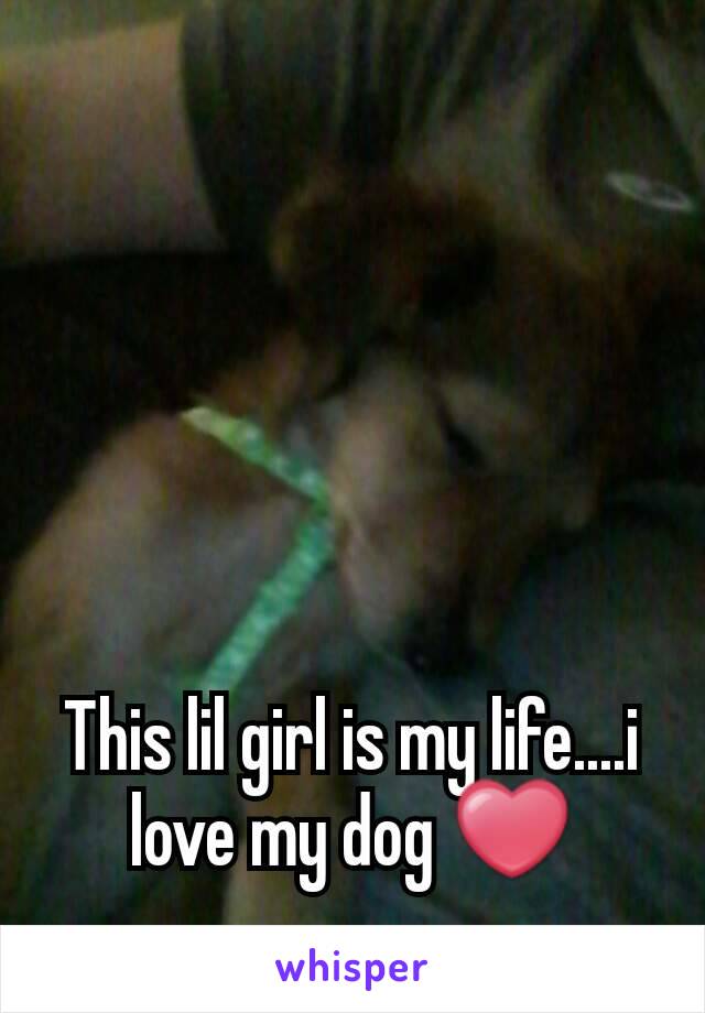 This lil girl is my life....i love my dog ❤