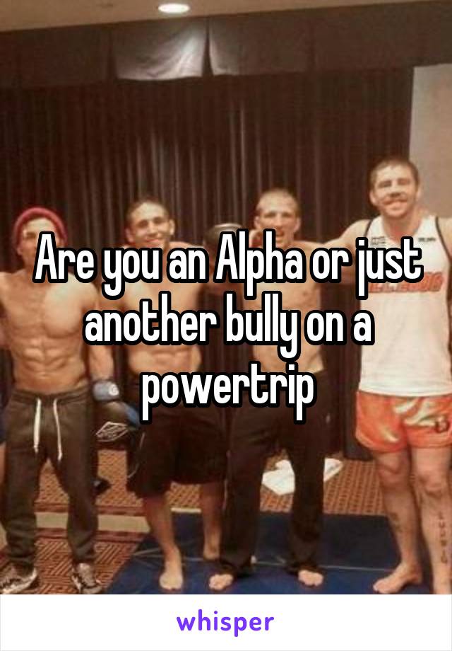 Are you an Alpha or just another bully on a powertrip