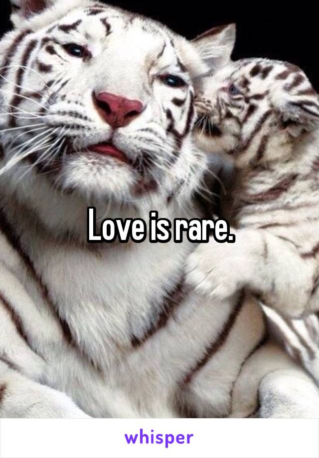 Love is rare.