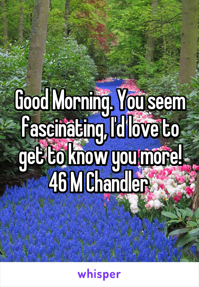 Good Morning. You seem fascinating, I'd love to get to know you more!
46 M Chandler 