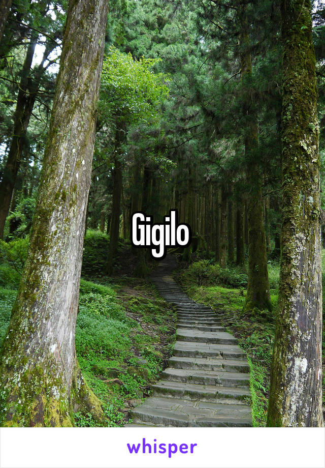 Gigilo 