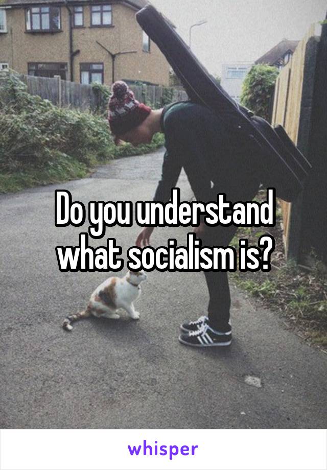 Do you understand what socialism is?