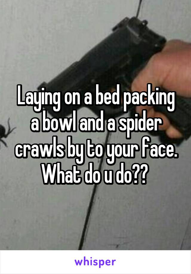 Laying on a bed packing a bowl and a spider crawls by to your face. What do u do?? 