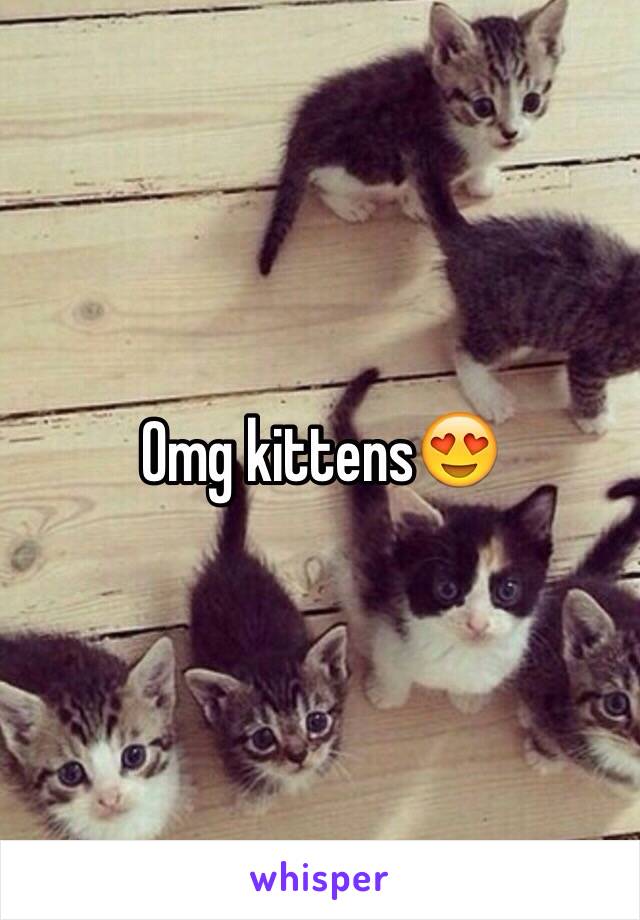 Omg kittens😍