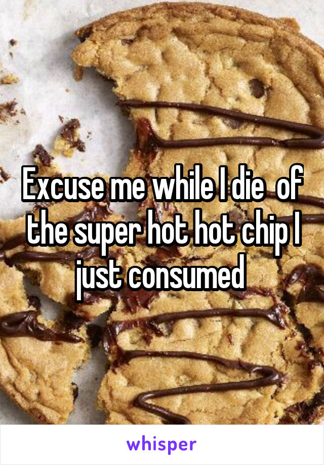 Excuse me while I die  of the super hot hot chip I just consumed 