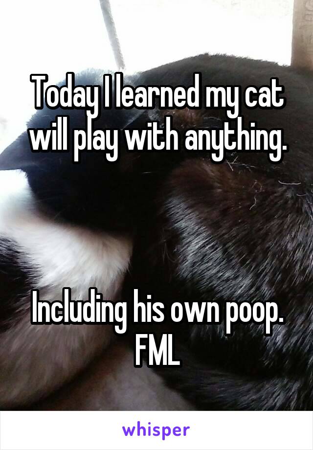 Today I learned my cat will play with anything.


 
Including his own poop. FML