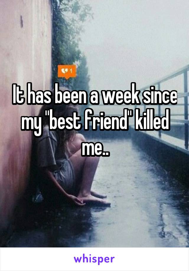 It has been a week since my "best friend" killed me..
