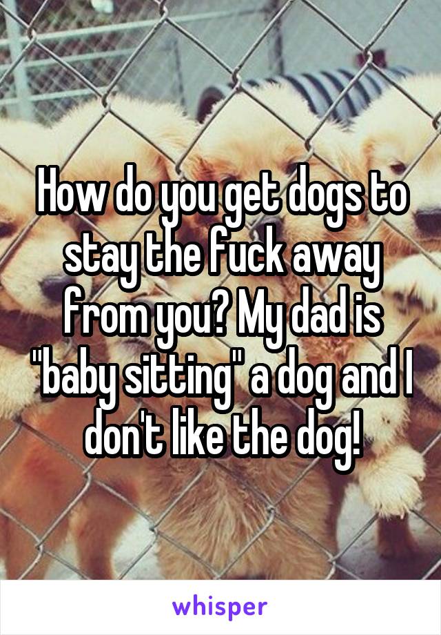 How do you get dogs to stay the fuck away from you? My dad is "baby sitting" a dog and I don't like the dog!