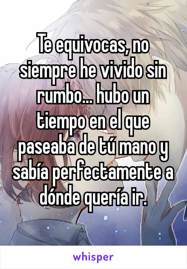 Te equivocas, no siempre he vivido sin rumbo... hubo un tiempo en el que paseaba de tú mano y sabía perfectamente a dónde quería ir.