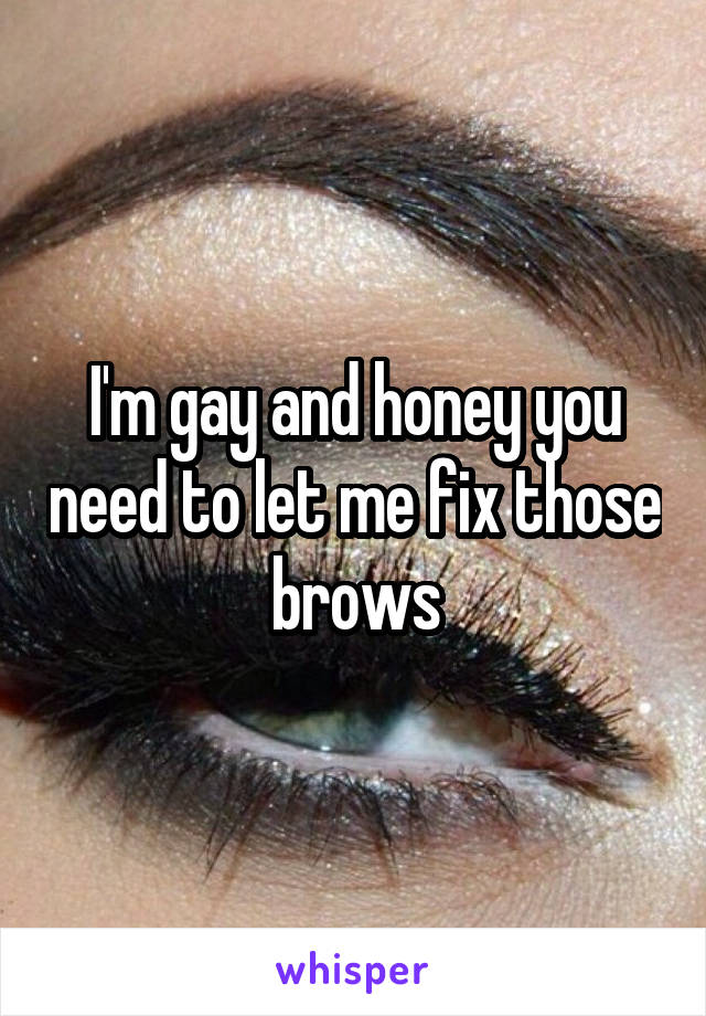 I'm gay and honey you need to let me fix those brows