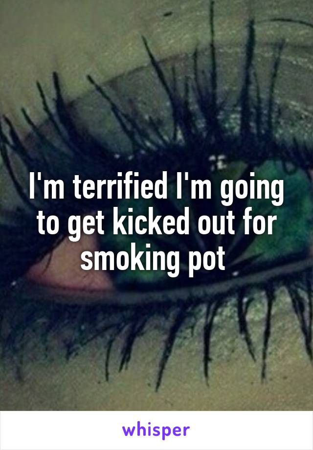 I'm terrified I'm going to get kicked out for smoking pot 