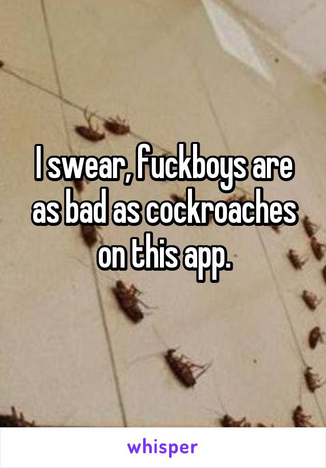 I swear, fuckboys are as bad as cockroaches on this app.
